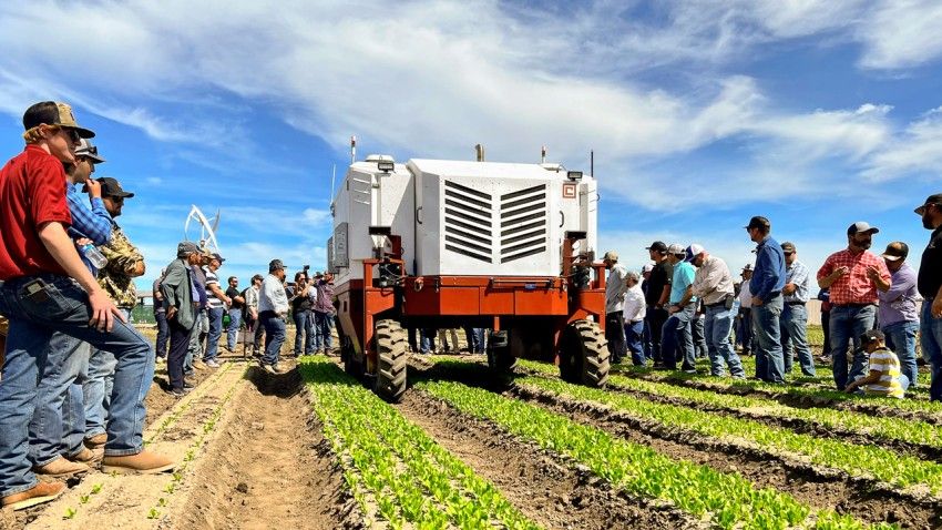 Lasers match common herbicides at zapping East Coast weeds