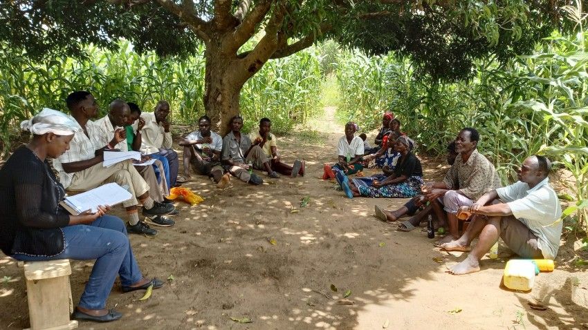 Collaborative reforestation in Malawi supports ag, climate adaptation