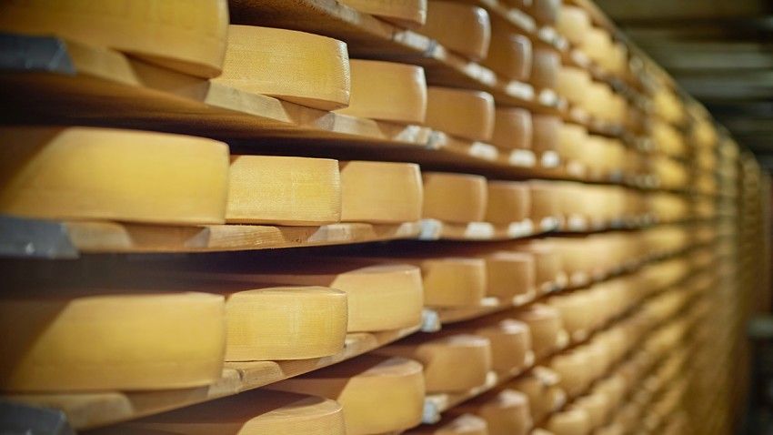 Cornell’s ‘big cheese’ of cheese retires