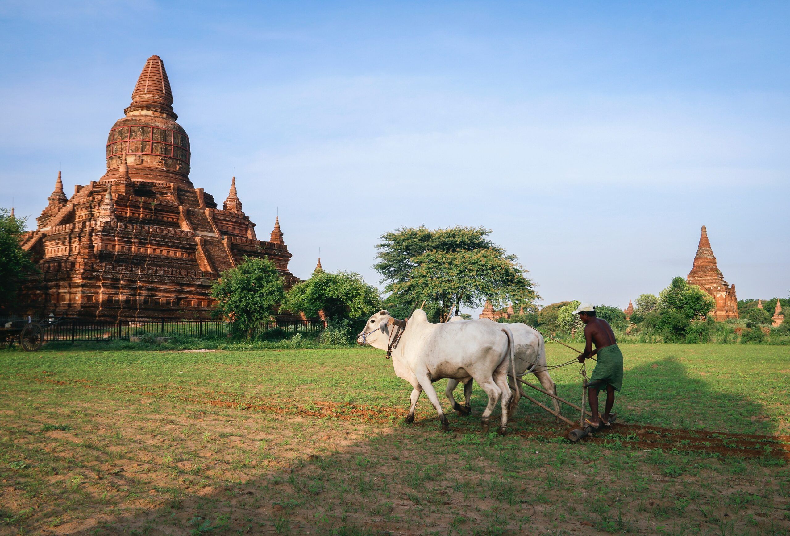 Sociology of Myanmar’s Emerging Agritech
