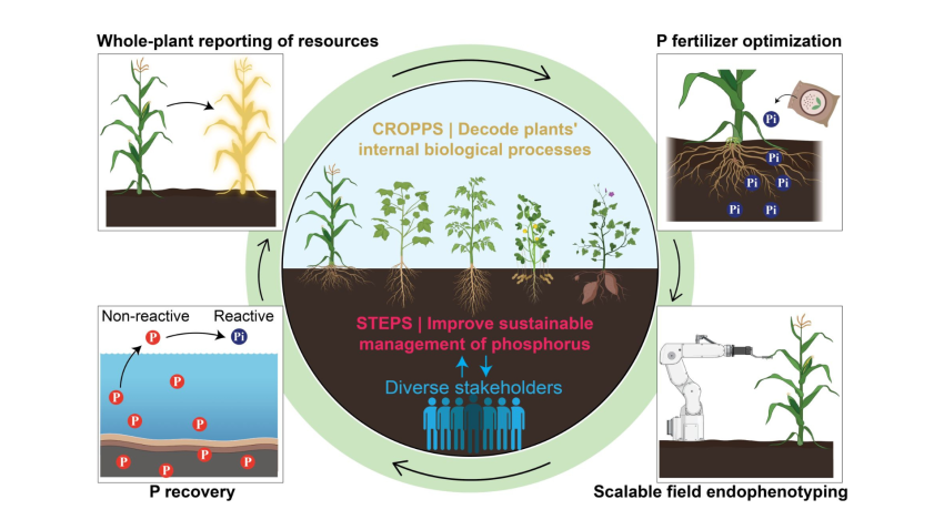 Growth across fields: Scientific collaboration tackles farming challenges