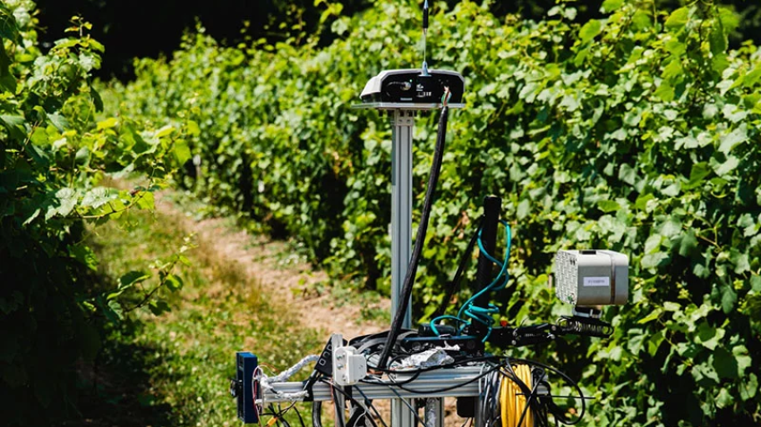 Cornell Institute for Digital Agriculture powers 15 innovative new projects