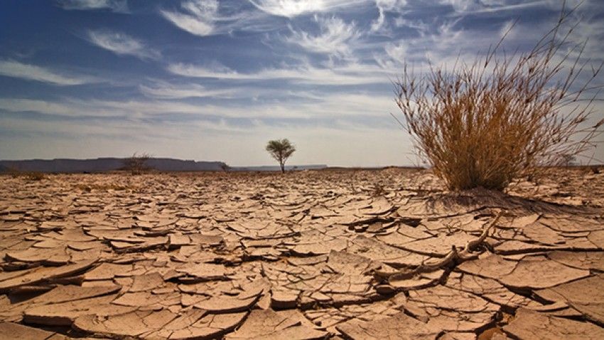 Climate change lowers precipitation, prolongs drought in Southwest