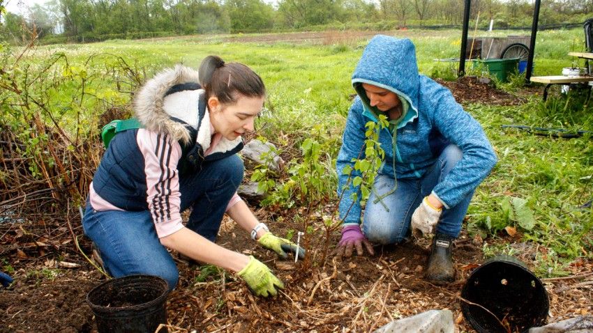 Students of different faiths unite to plant trees, give back