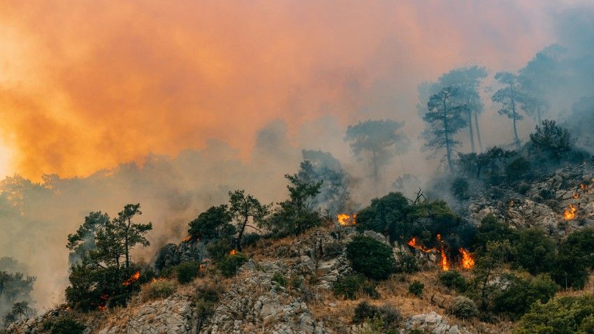 Cornell dashboard estimates mortality risk of wildfire smoke