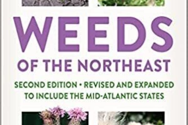 Weeds of the Northeast with Antonio DiTommaso