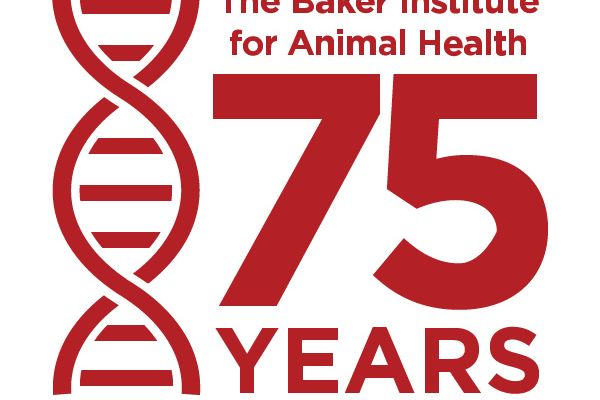 Baker Institute Seminar Series – Dr. Dina Tresnan