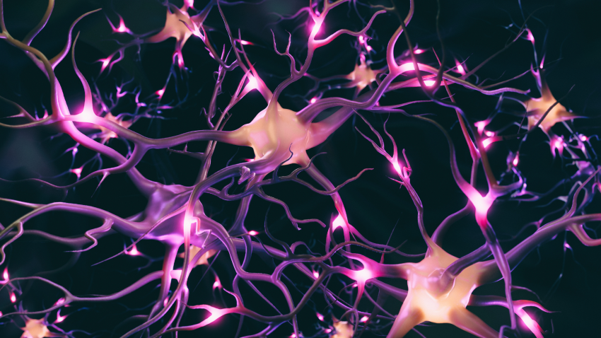Molecular double agent: Protein “Eato” plays surprising role in protecting the brain