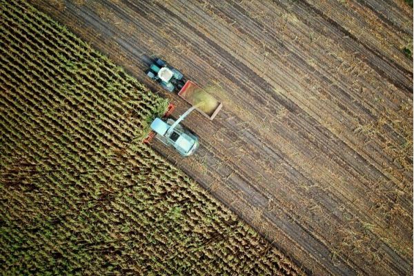 Institute for African Development Seminar: Intersection of Climate Change and the Social and Political Implications of Emerging Digital Technologies