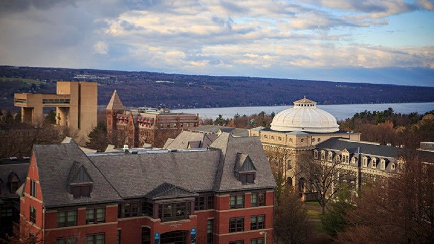 Seed grants foster collaboration across Cornell campuses