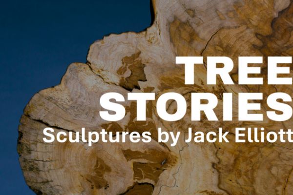 Tree Stories: Sculptures by Jack Elliott