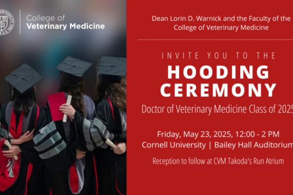 DVM Hooding Ceremony