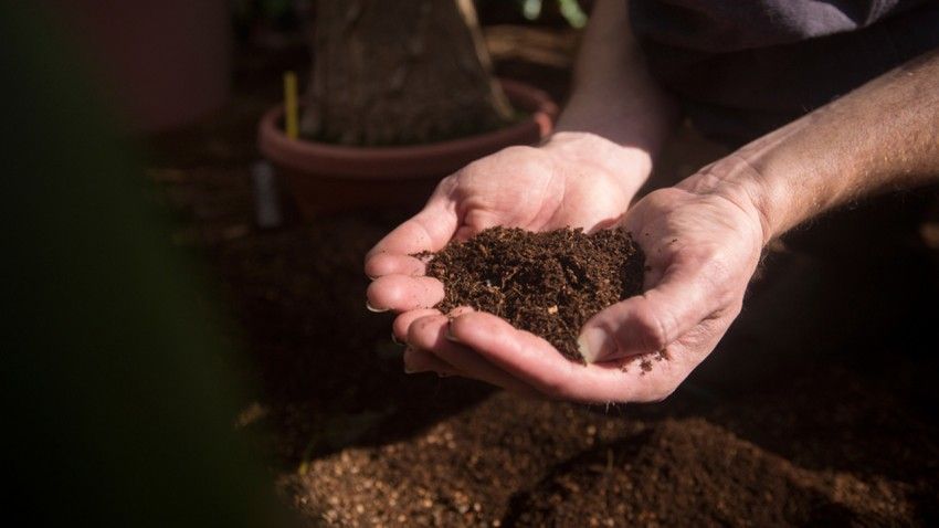 Microbes key to sequestering carbon in soil