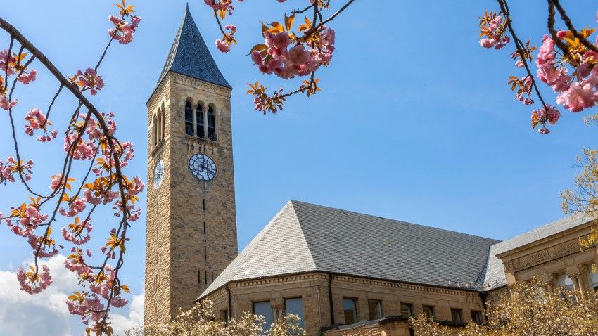 Cornell Center for Social Sciences awards grants, invites new proposals