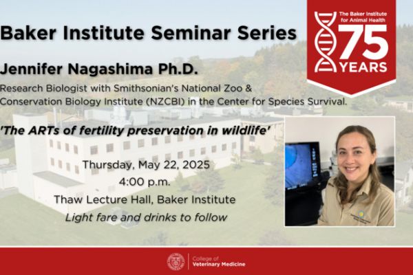 Baker Institute Seminar Series – Dr. Jennifer Nagashima