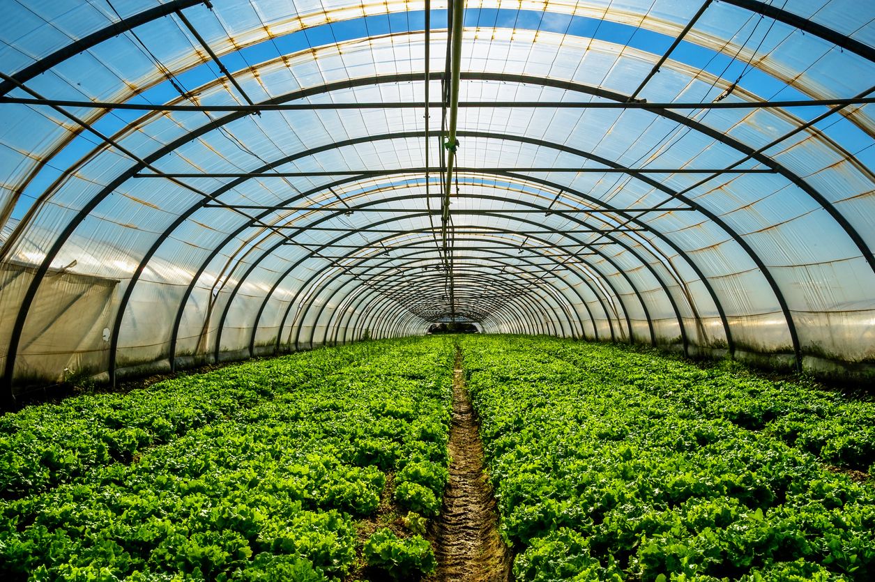 Smart and Intelligent Greenhouse Climate Control with Artificial Intelligence￼