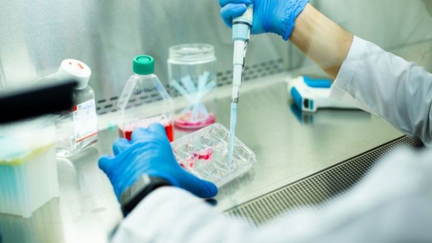 Newly discovered ovulation regulator holds promise for managing infertility