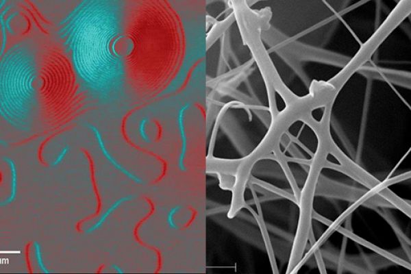 CCMR x Biotech Image Competition