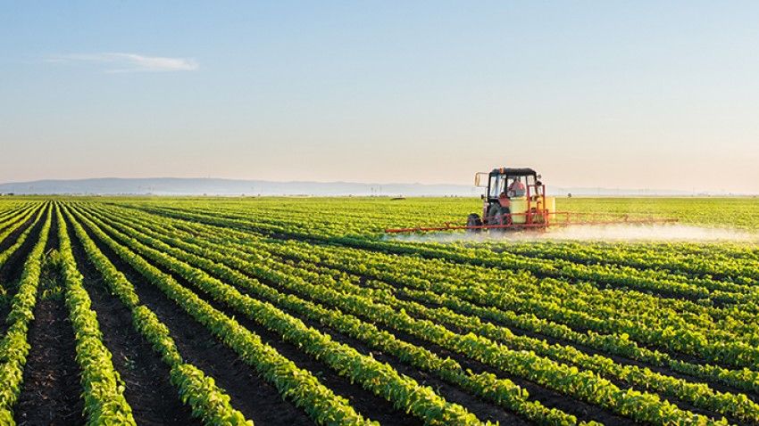 $1.6M supports land-grant research for NY farms, forests, communities