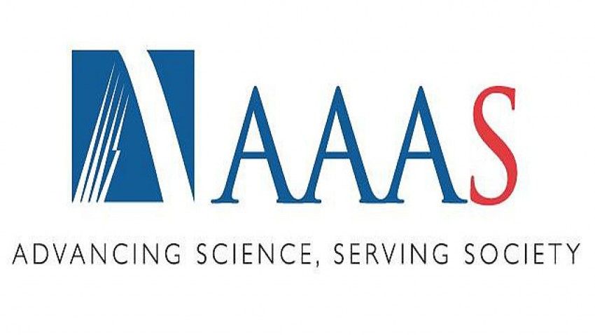 Three faculty members elected AAAS fellows