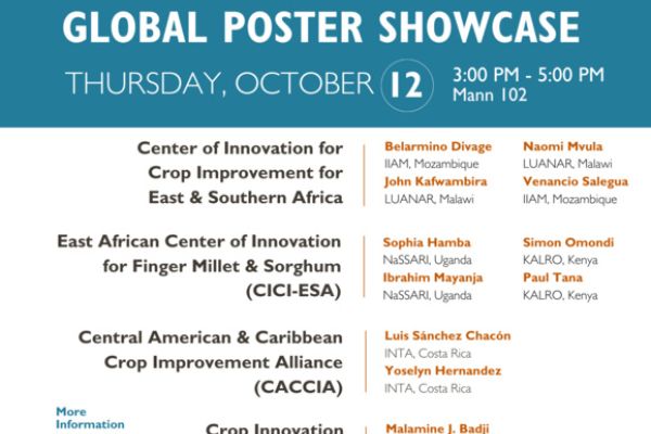 Innovation Lab for Crop Improvement’s Global Poster Showcase